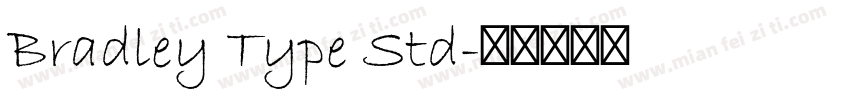 Bradley Type Std字体转换